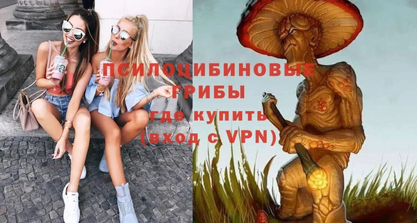 таблы Белокуриха