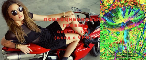 таблы Белокуриха